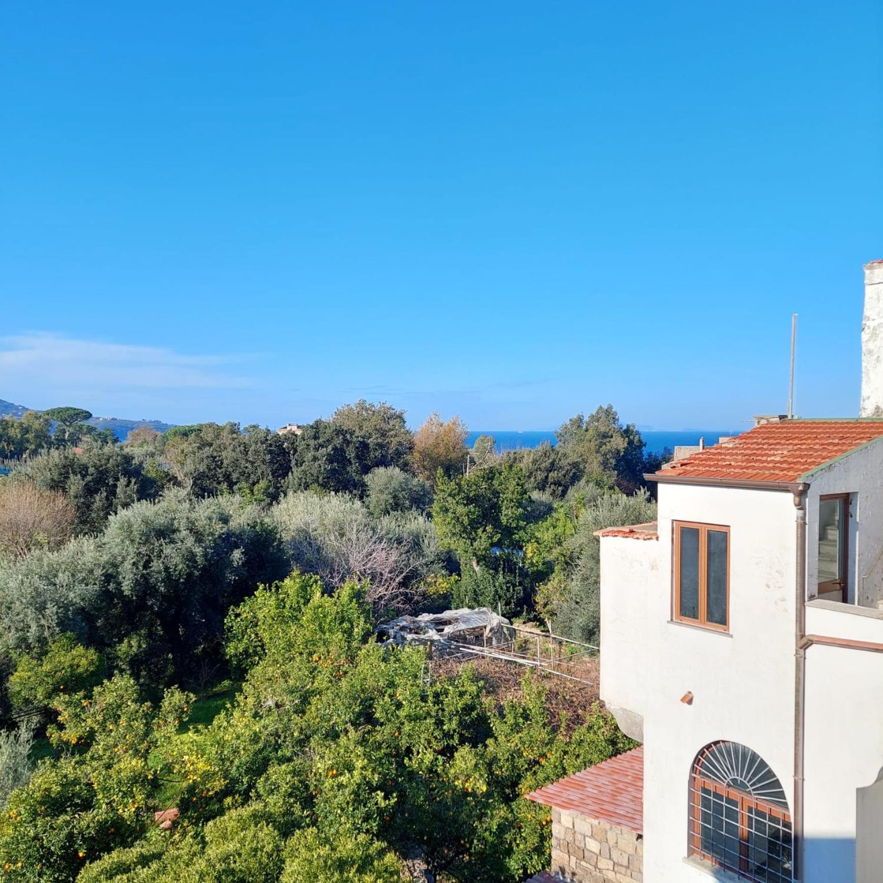 Apartamento Il Giardino Dei Gigli Meta Exterior foto
