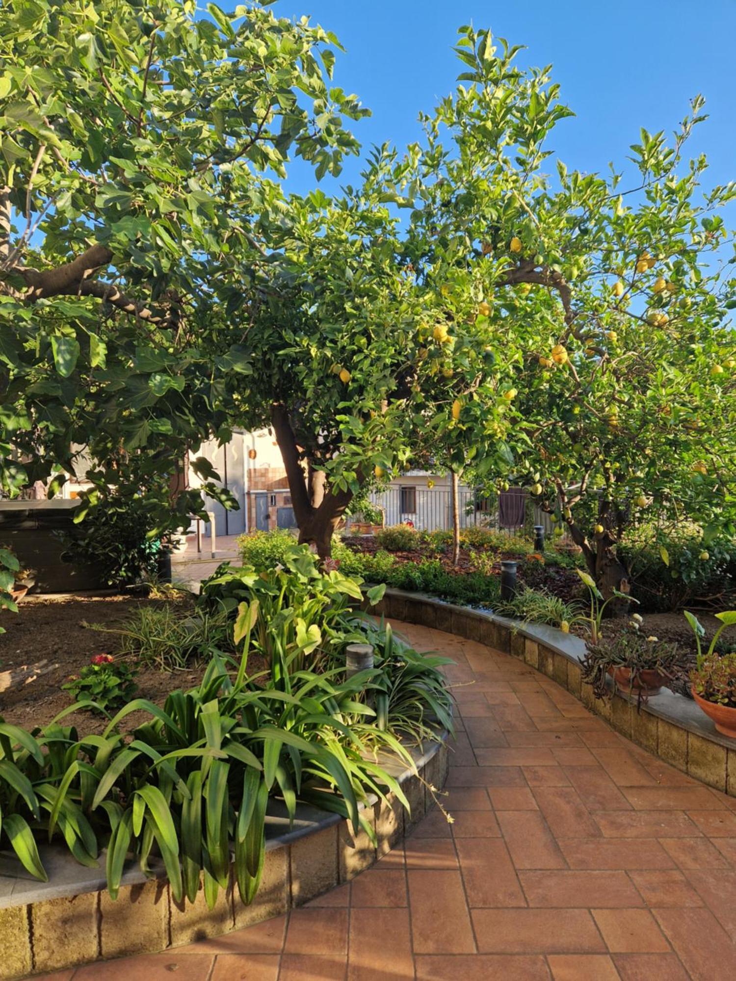 Apartamento Il Giardino Dei Gigli Meta Exterior foto
