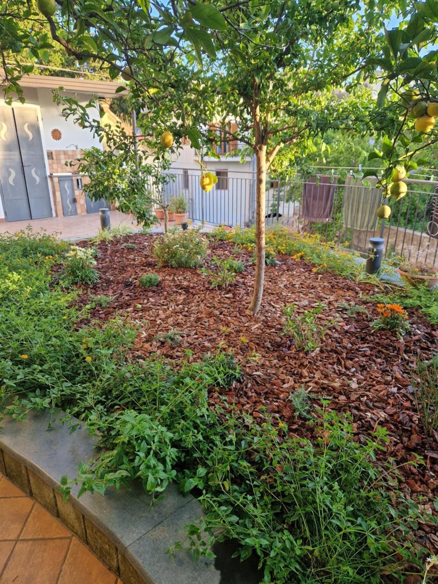 Apartamento Il Giardino Dei Gigli Meta Exterior foto
