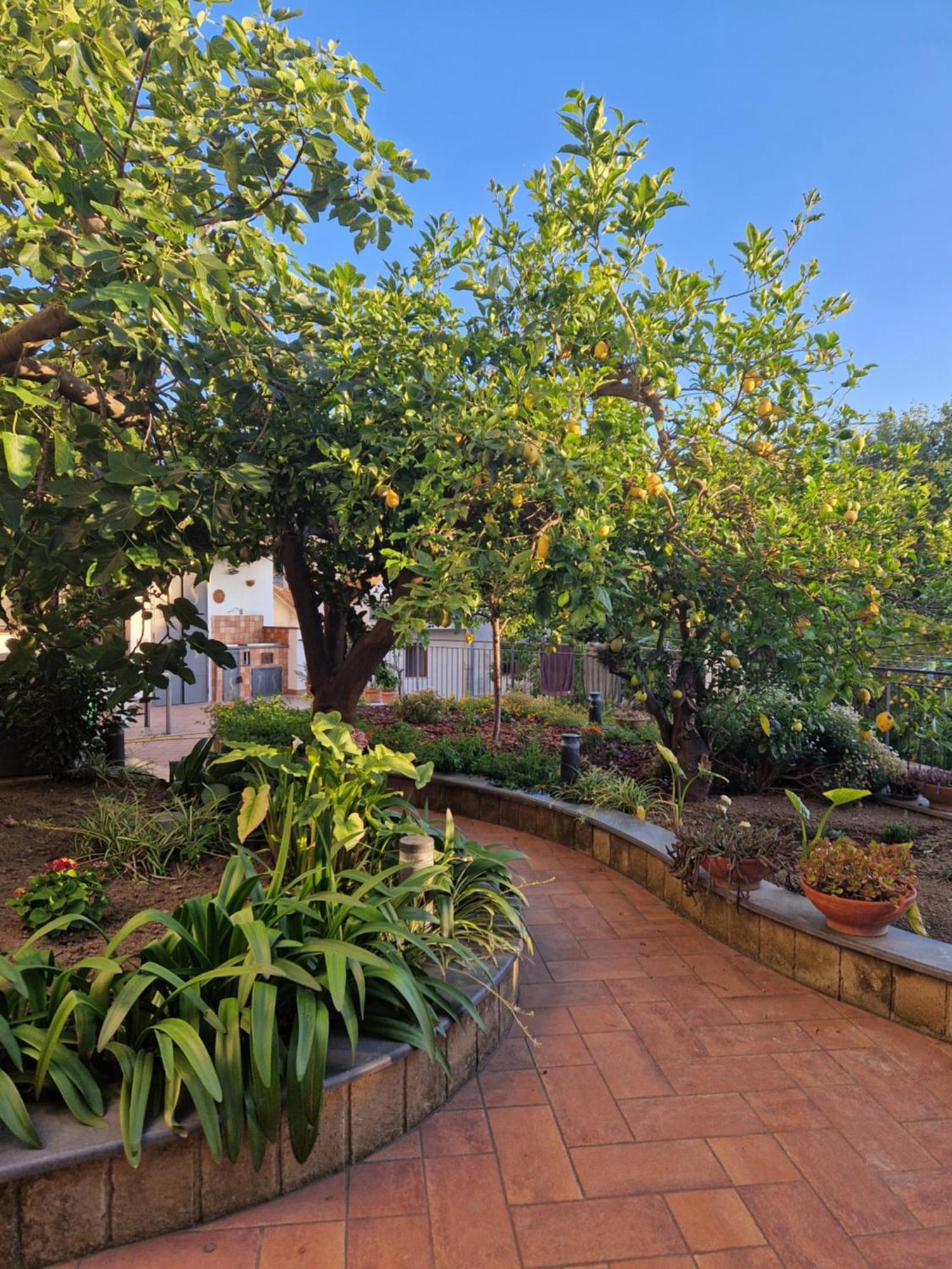 Apartamento Il Giardino Dei Gigli Meta Exterior foto